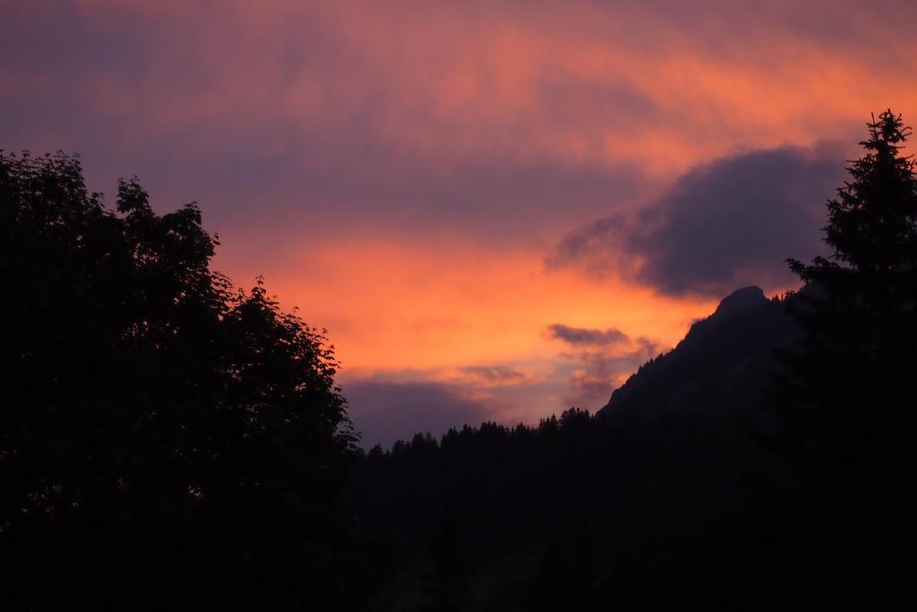 Appartamento Haus Bergwelt Grän Esterno foto