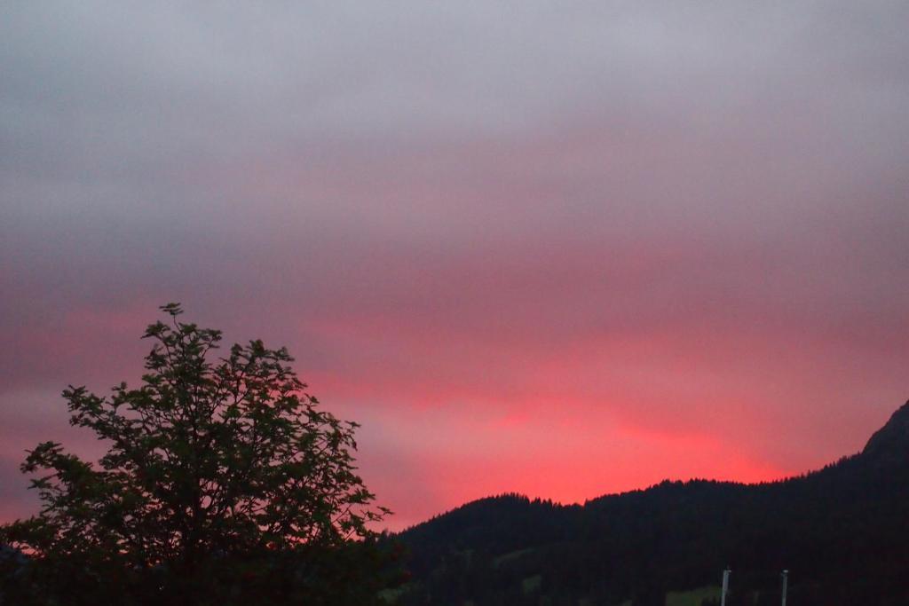 Appartamento Haus Bergwelt Grän Esterno foto